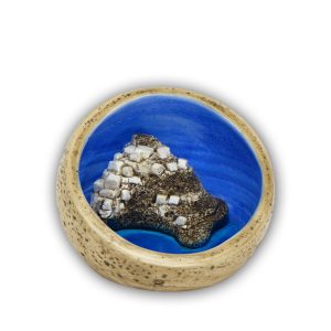 BLUE 49